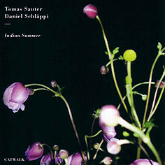 Cover "Indian Summer"
